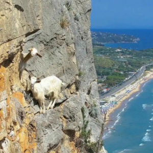 2024————下一站 2025