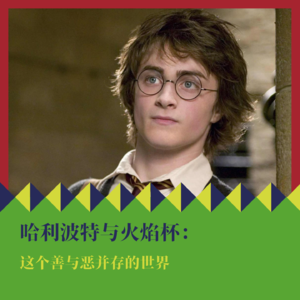 《哈利·波特与火焰杯》：这个善与恶并存的世界