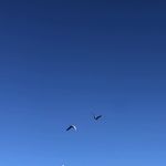 小番茄ye