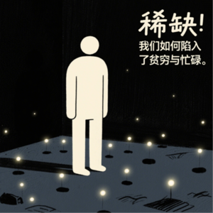 稀缺：我们如何陷入了贫穷与忙碌