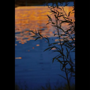 同年同月同日生002｜同一天生的人，命运一样吗？