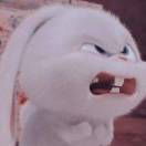 Nininni