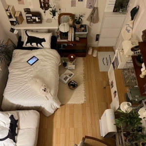 EP3. Vlog博主的精致独居生活究竟是谁在过啊啊啊