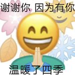 二皮皮