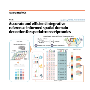 385-IRIS: Reference-Informed Segmentation for Spatial data