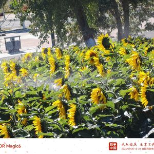 碎屑岩的成分结构构造