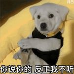 卷毛子