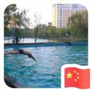 邵海涛