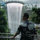 Super_forest