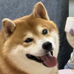 斯铄