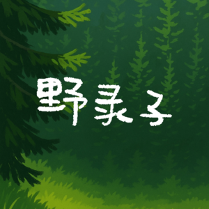 野录子