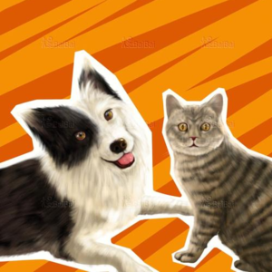18.当招猫逗狗遇上社恐,一场主人与宠物的拉扯大战正在上演