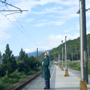 0511 | 谷歌索赔、苹果降价、百色通报葬礼墙体倒塌事故、青岛行人相撞案法院道歉、毒蜂蜇怎么办？《滚动的诗》音乐纪实