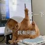 XYZ自由人