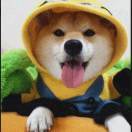 李金仓