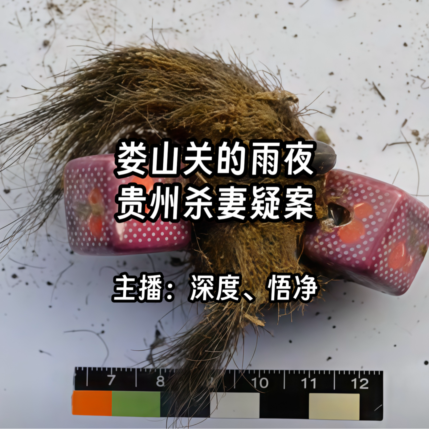 28.娄山关的雨夜：贵州杀妻疑案 episode artwork