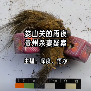 28.娄山关的雨夜：贵州杀妻疑案