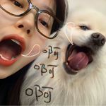 岔巴狗