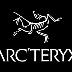 NO.11当烟花绽放在喜马拉雅：始祖鸟环保争议背后的品牌困局与行业反思