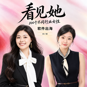 27 | 软件出海 | 融资1000万美金,团队却散了。我踩过的那些人性与创业的大坑!