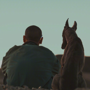 81.狗阵:我不是传奇...