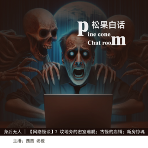 15.身后无人 | 【网络怪谈】密室逃脱里的娃娃；古怪的店铺；新房惊魂