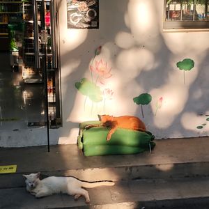 你有可乐喝吗？