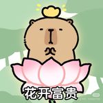君小胖