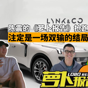 陈震的萝卜报告抢跑，注定了是一次双输的结局