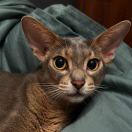 多喝水早睡觉_t2M2