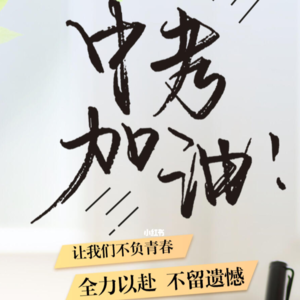 EP11.中考后,有哪些升学路径?