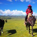 杨捷回信速度像蜗牛