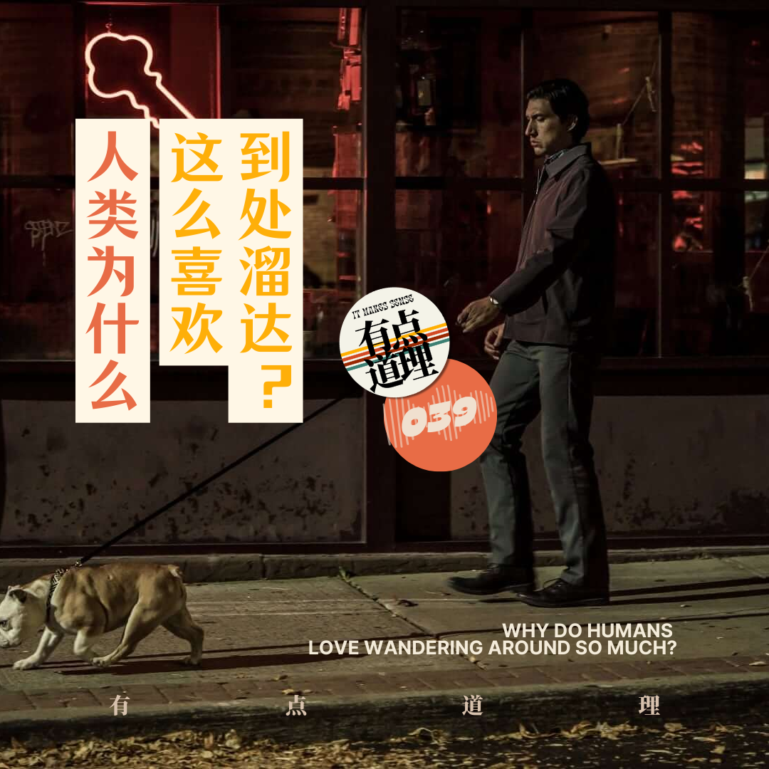 039. 人类为什么这么喜欢到处溜达？ episode artwork
