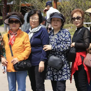 这个假期，有多少韩国人在张家界尽孝