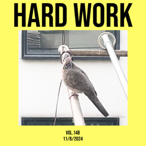 vol.148：认真做事，仅此而已