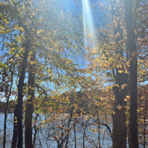 86 向印度人学高配得感表达力：东亚小孩打破求职自我设限