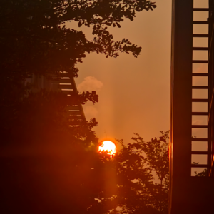 Vol.100 回避型依恋自救指南（上篇）：从“大脑警报”到“情感隔离”的全面拆解