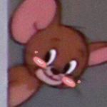 忙着写论文