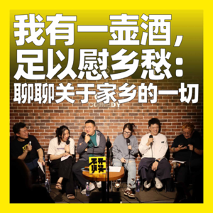 133. 我有一壶酒，足以慰乡愁：聊聊关于家乡的一切