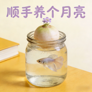 《顺手养个月亮》