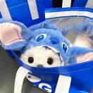 闪闪发光的阿焜