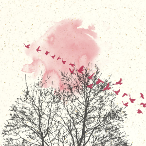 「边水往事」的震撼一层层 - 原来红木的颜色可能是血红