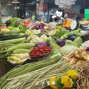 081 过“一手人生”这件事儿，什么时候都不晚！