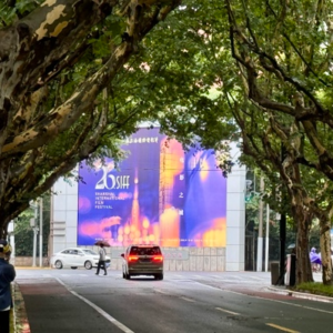 6月上海，年轻人的“电影假日”