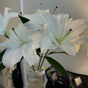 枕边夜话Pillow Talk