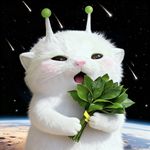 豆豆你怎么在这