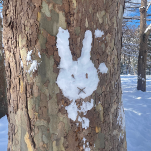 Vol.5 一个人的北海道之旅 | P人的自我修养就是…我赶不上离开北海道的航班了！