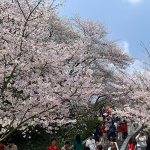 因为四月五月很有盼头,甚至期待起了夏天