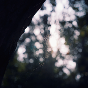 这是致你的一封信✉