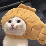 并无一只绵羊